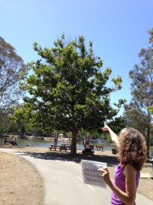 PIP Erica pointing at egret 2